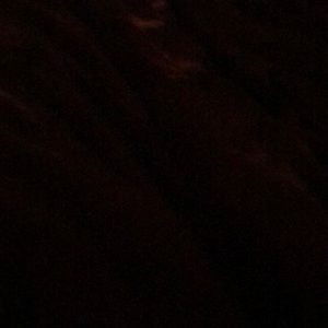 Meet your Posher, Kylie